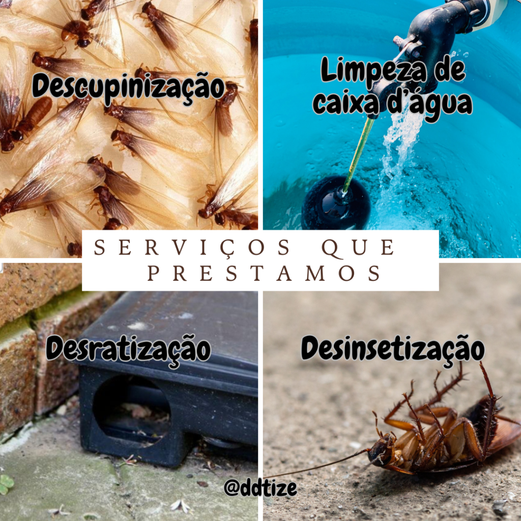 Os Prejuízos das Pragas Urbanas: Serviços prestados pela DDTIZE para resolver seu problema.