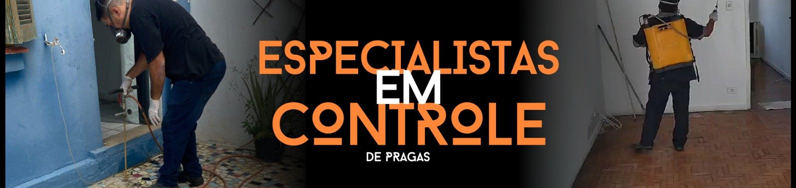 dedetizadora-em-sp1