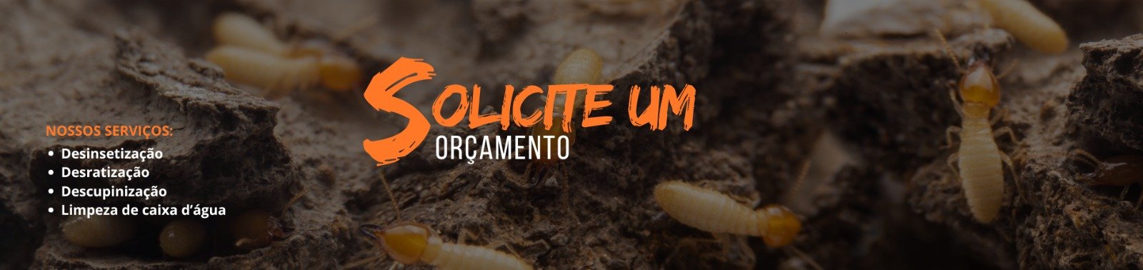 dedetizadora-em-sp2