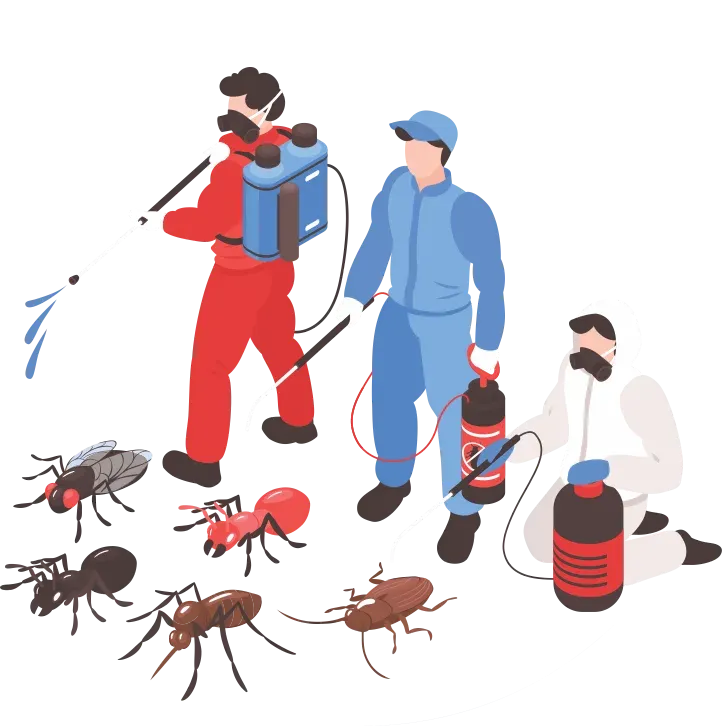 Ilustração de equipe de controle de pragas urbanas – D.D.TIZE